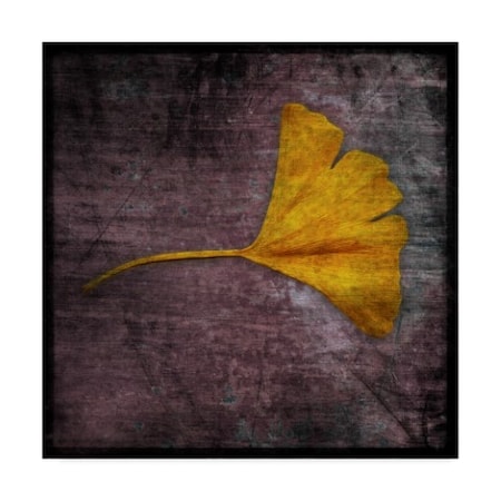 John W. Golden 'Gingko Purple' Canvas Art,24x24